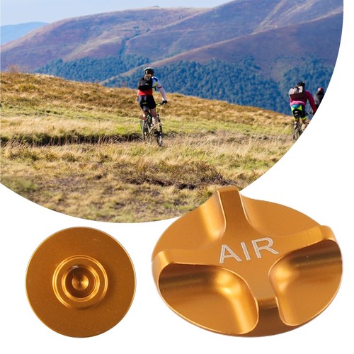 Mountain bike air - gas, fork