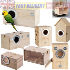 Parrot Budgie Lovebirds Wooden