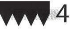 TRISCAN V-Ribbed Belt Black