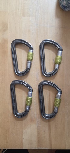 Dmm screwgate carabiners - x,