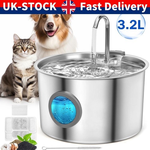 Cat mate pet drinking - cat,