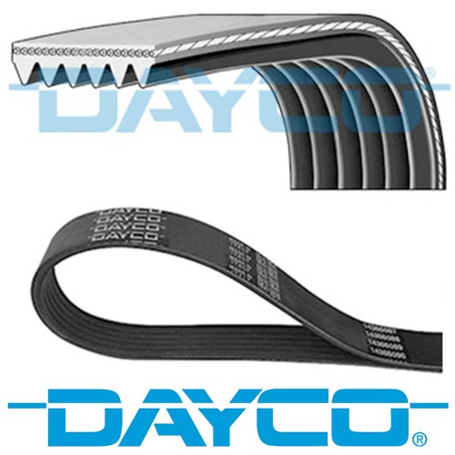 Dayco ribbed belt ribs - dayco,