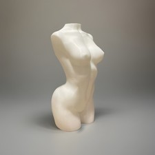 Modern Female Body Torso