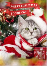 Doodlecards To The Cat