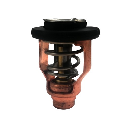 Thermostat for yamaha stroke - thermostat,