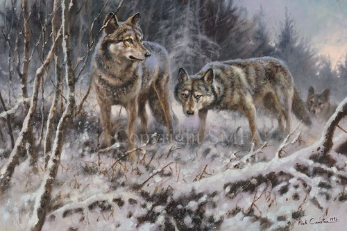 Mick cawston winters - cawston, breath'