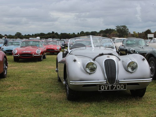 Photo jaguars goodwood - jaguars,