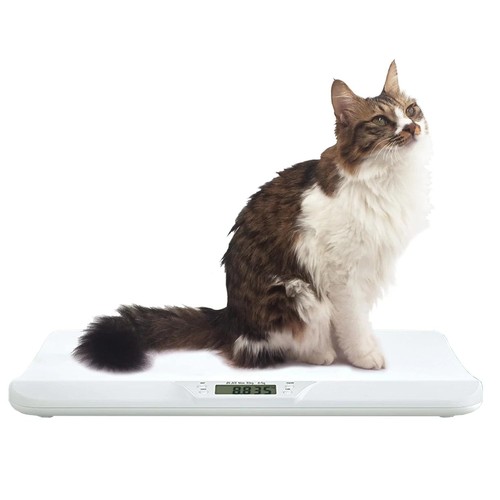 Digital pet scale 30kg - digital, cat
