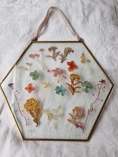 Pressed Flowers In Glass