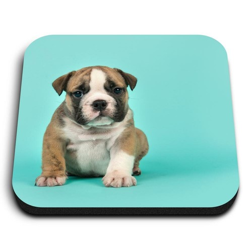 Square mdf magnets english - square,