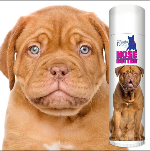 Dogue bordeaux blissful dog - dogue, de