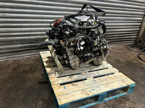Bfd081338 2023 isuzu dmax - 2023,