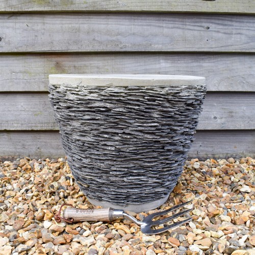 Plant pot stone - plant,