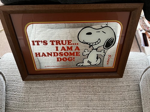 Vintage snoopy mirror - vintage,