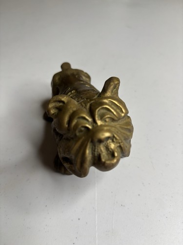 English bulldog dog solid - dog,