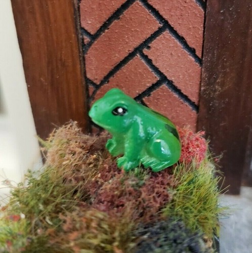 Frog miniature critter for - miniature,