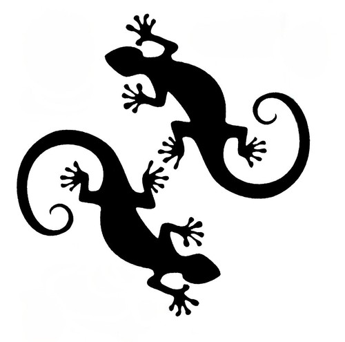 Gecko sticker vinyl decals - gecko,