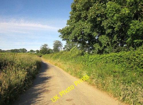 Photo 6x4 lane - photo, from