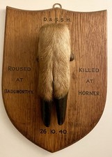 Devon & Somerset Stag Hounds