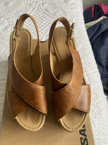 Gabor warbler summer wedges - warbler,