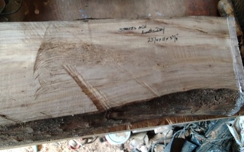 Large spalted ash bowl blank - ash,
