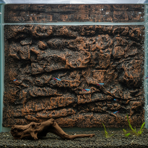 Reptile tank background - 3d,