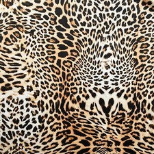 ANIMAL PRINT VELVET FABRIC