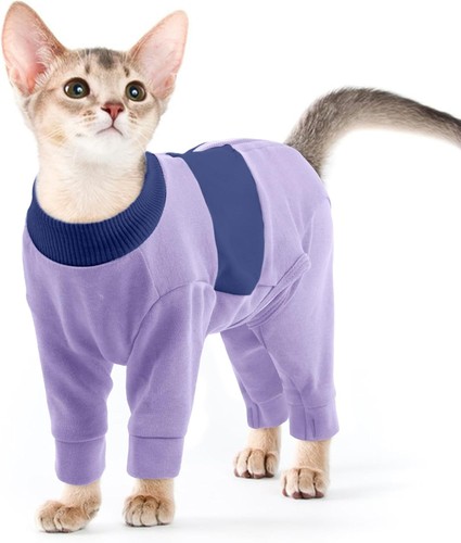 Small cat pyjamas kitten - cat, pyjamas,