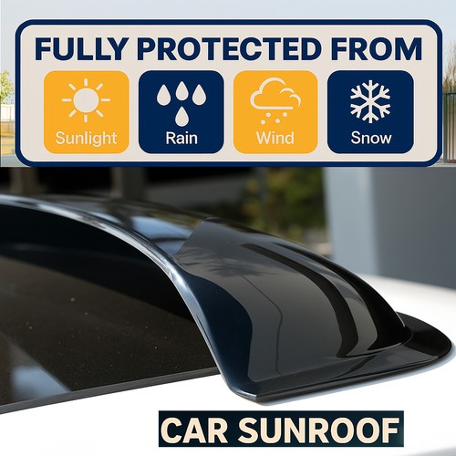 Smoke tint 3mm sunroof - tint,