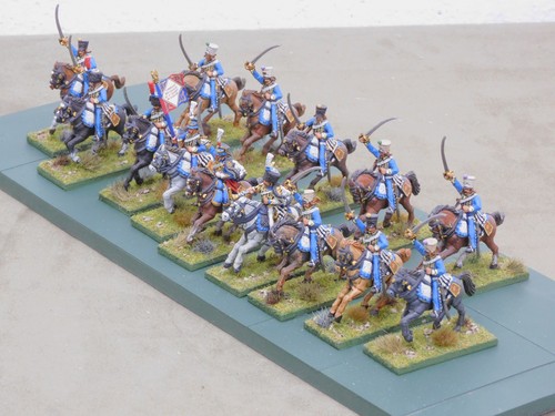 Painted 28mm perry napoleonic - perry,