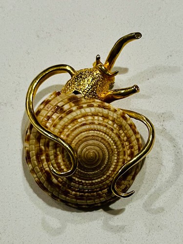 Vintage shell snail - snail, brooch