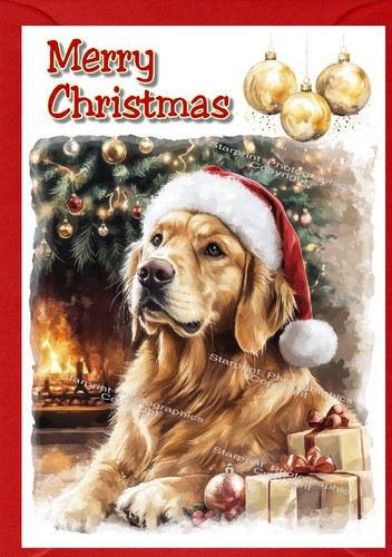 Golden retriever dog christmas - golden,