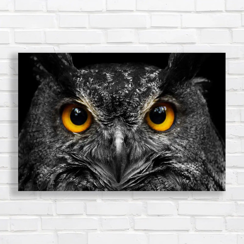 Piercing owl eyes original - eyes,