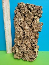 CORK BARK FLATS BASKING