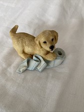 Leonardo Collection Labrador Retriever puppy playing with a Blue toilet roll.
