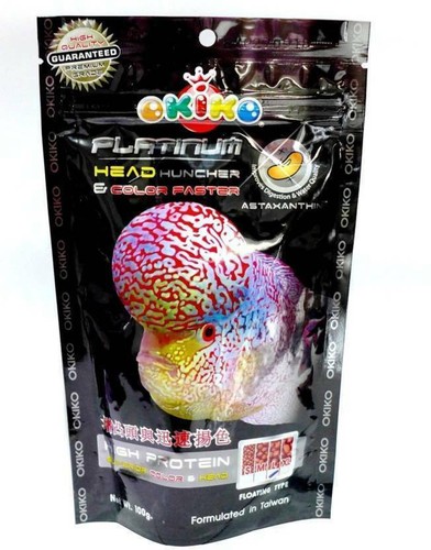 Okiko platinum flowerhorn - okiko,