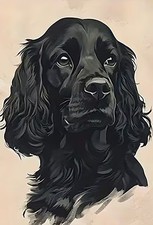Cocker Spaniel Dog Animal