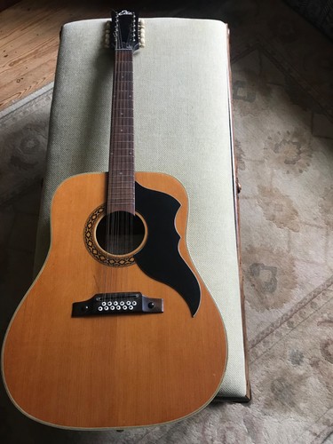 1960s 70s eko string - string, guitar