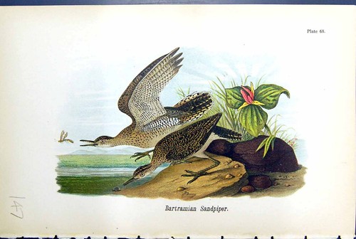 Original old antique - antique, print
