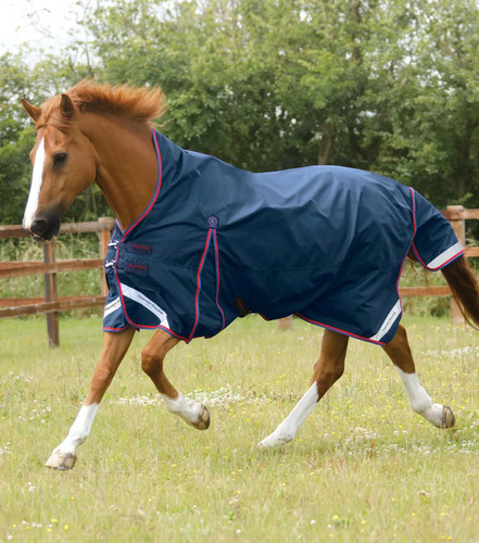 Premier equine buster hardy - premier,