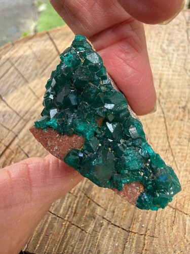 Dioptase crystal specimen aa - ,