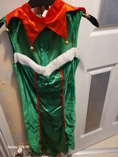 Ladies green small Jesters outfit
