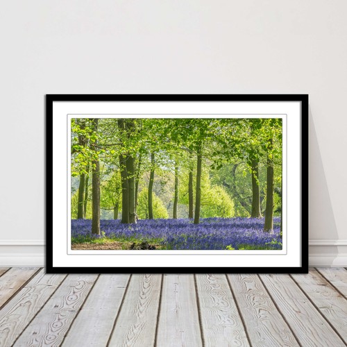 Picture frame bluebells - frame, in