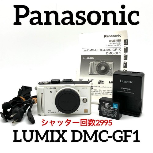 Panasonic lumix dmc gf1 - panasonic, white