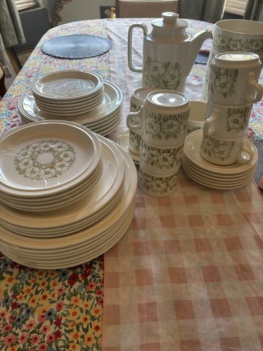 Hornsea full dinner service - hornsea,