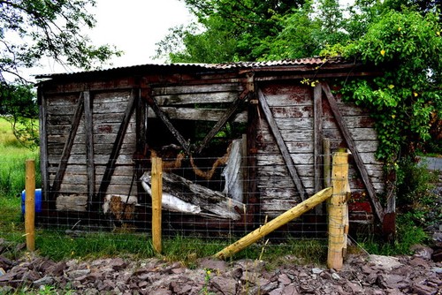 Photo 6x4 wooden shed - a,