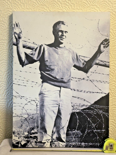 Steve mcqueen the great - mcqueen,