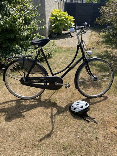 Beautiful pashley princess - pashley,