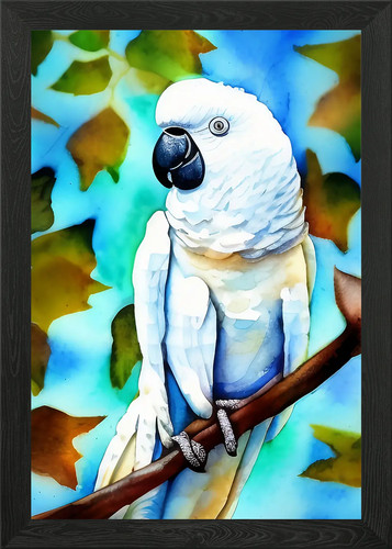 Beautiful white cockatoo - white,