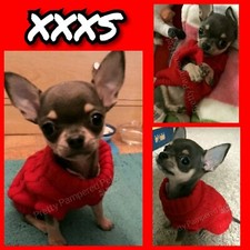 Chihuahua Teacup XXXS Puppy Size Knit Coat Pet Clothes Dog Red Jumper 